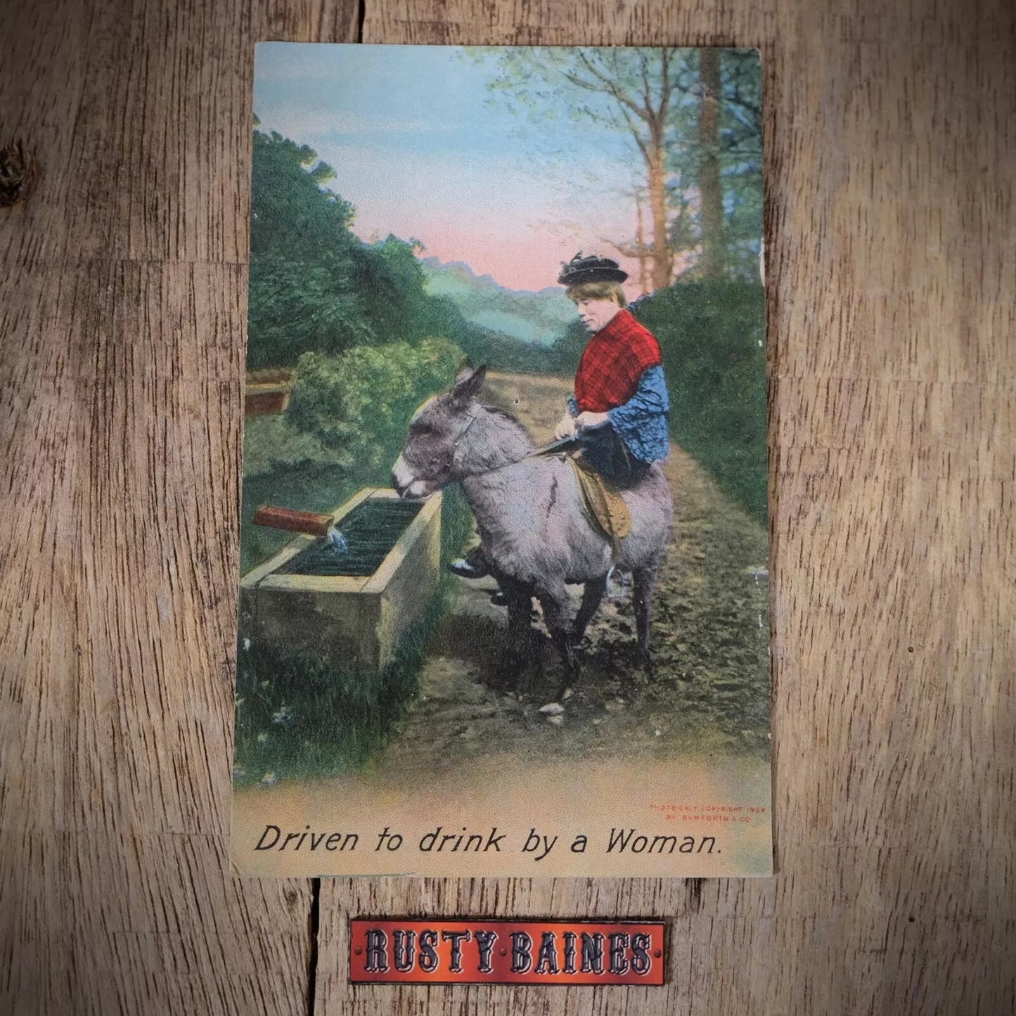 Postcard, Comic, Bamforth, Donkey Driven to Drink by a Woman