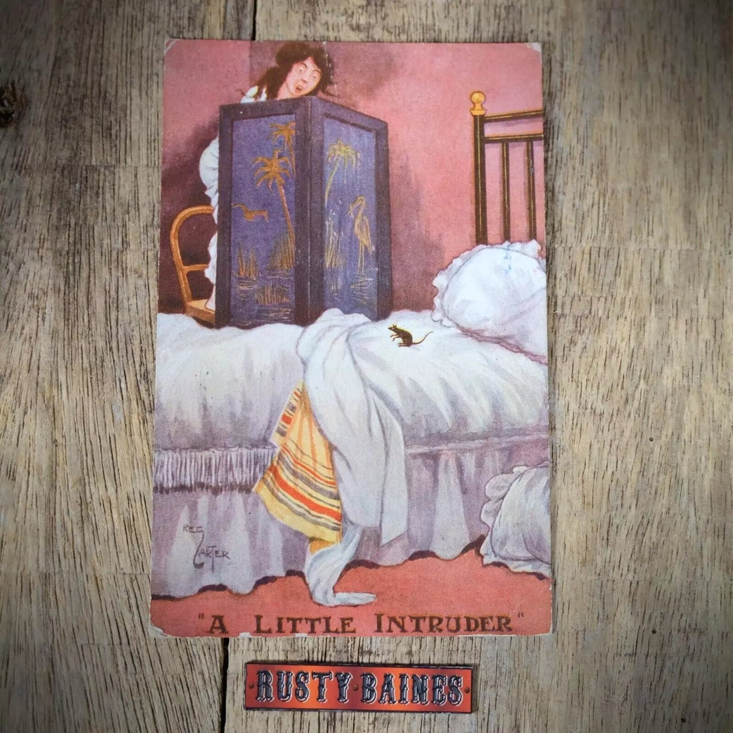 Postcard, Comic, Reg Carter, Woman Scared of Mouse in Bed, Intruder
