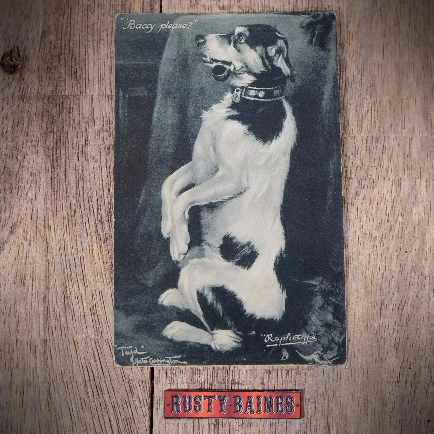 Postcard, Comic, Tuck, Begging Dog Pipe Smoker, Baccy Please