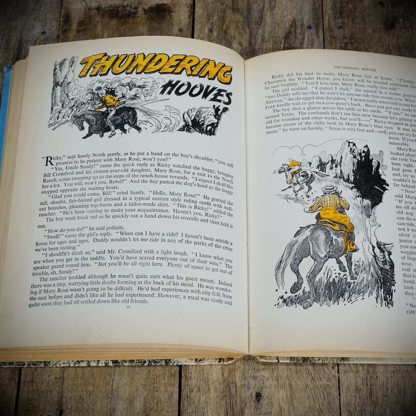 Champion the Wonder Horse, Daily Mirror 1958, Vintage Children's Hardcover