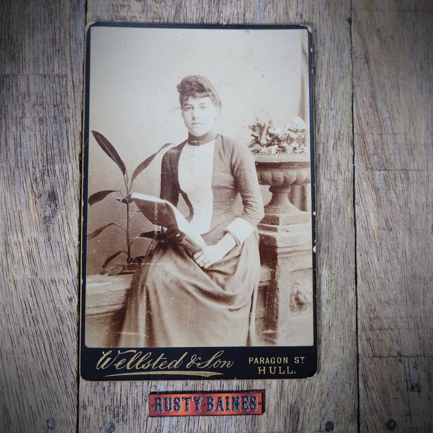 Original Victorian Era Cabinet Photo, Wellsted Studio of Hull, Female Portrait, Book Lover