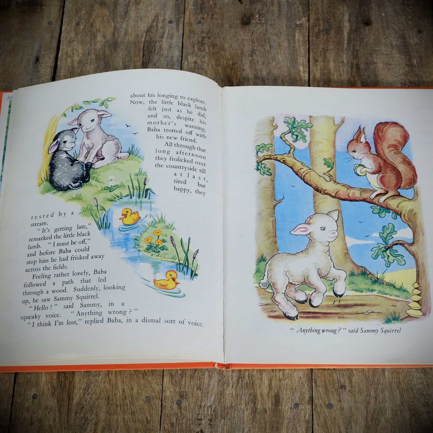 The Story of Baba, Betty Larom, Vintage Children's Book, Undated Hardcover, Sheep, Lamb