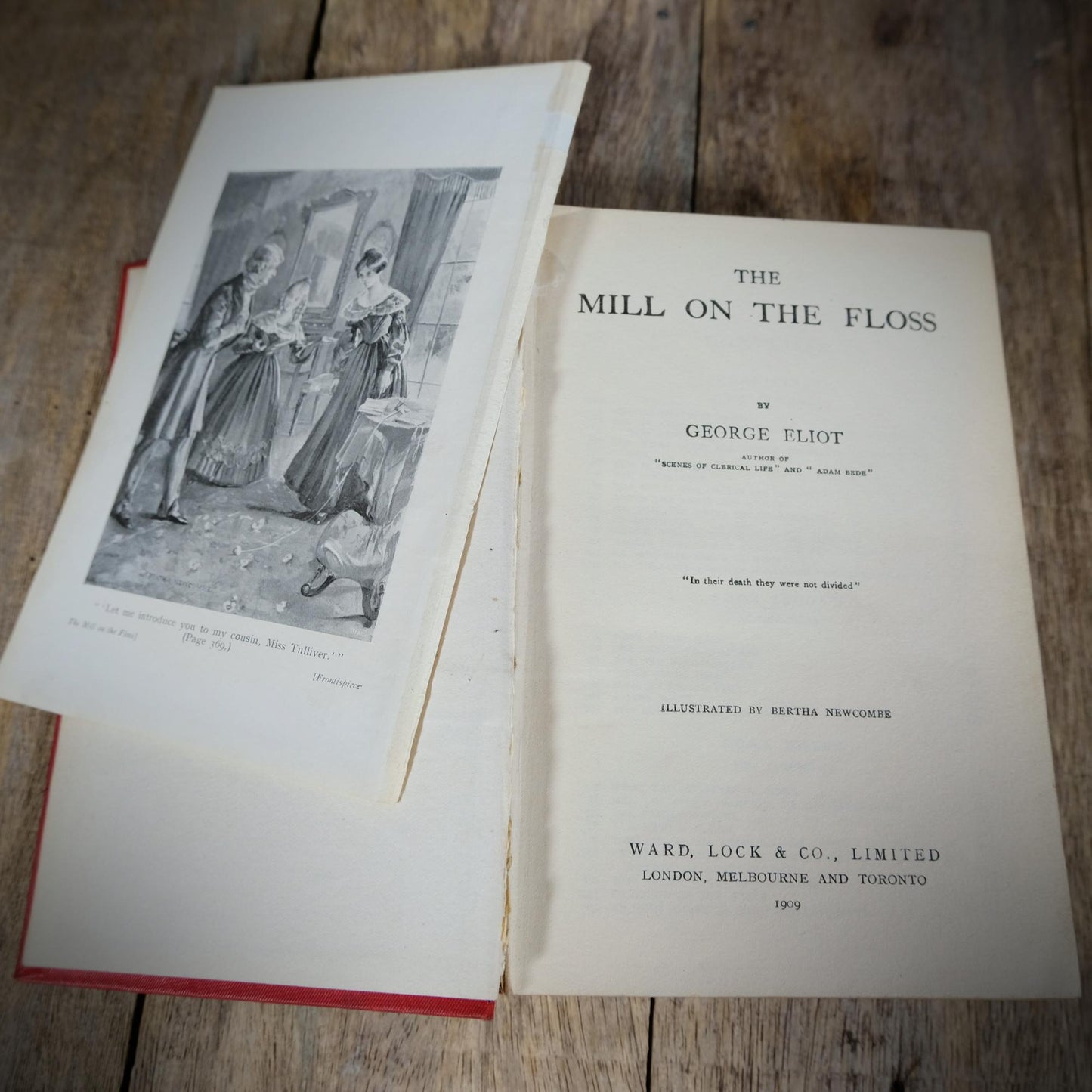 The Mill on the Floss, George Eliot, Decorative Binding, 1909 Hardcover
