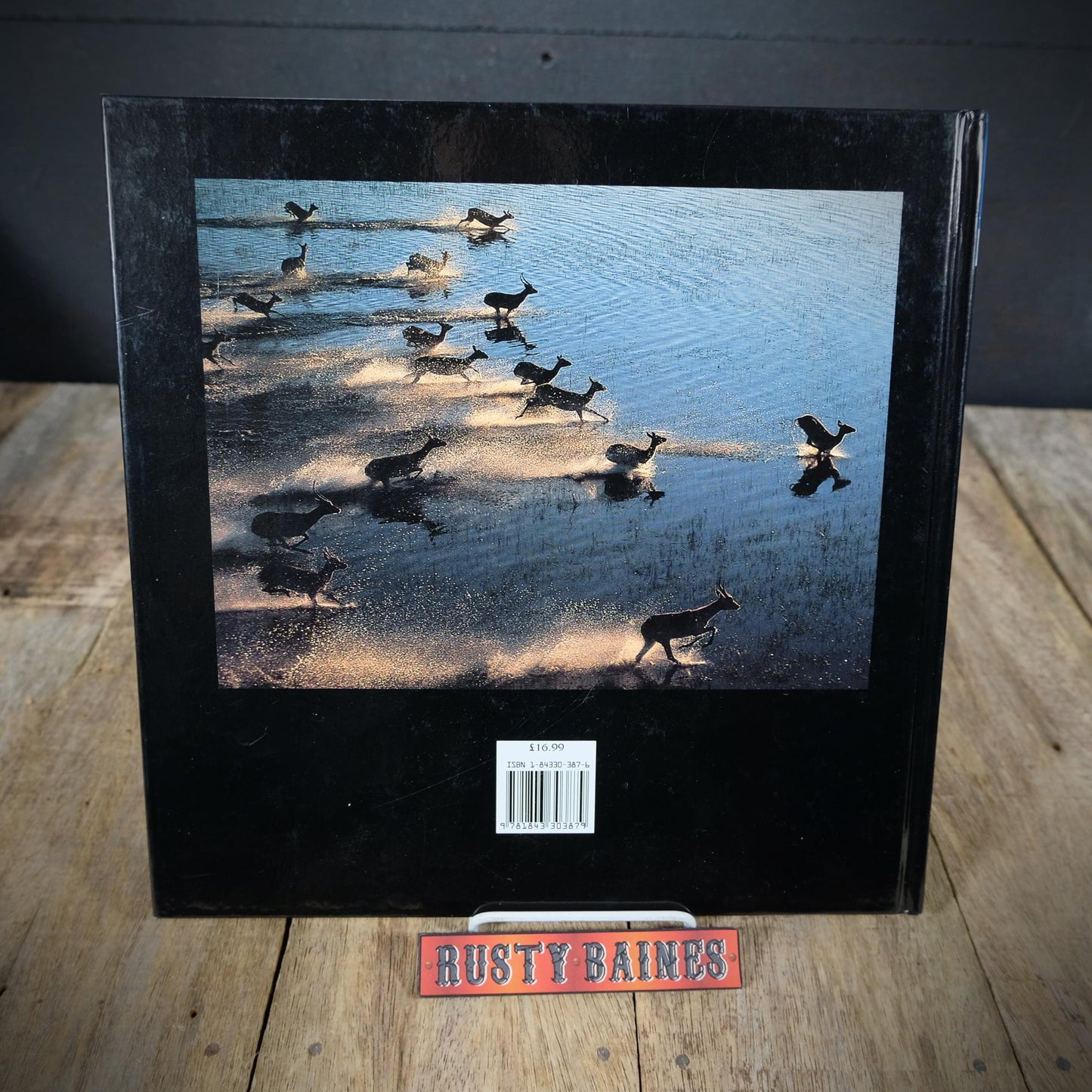 Classic African Wildlife Photography, Agfa Awards, 2002 Hardcover