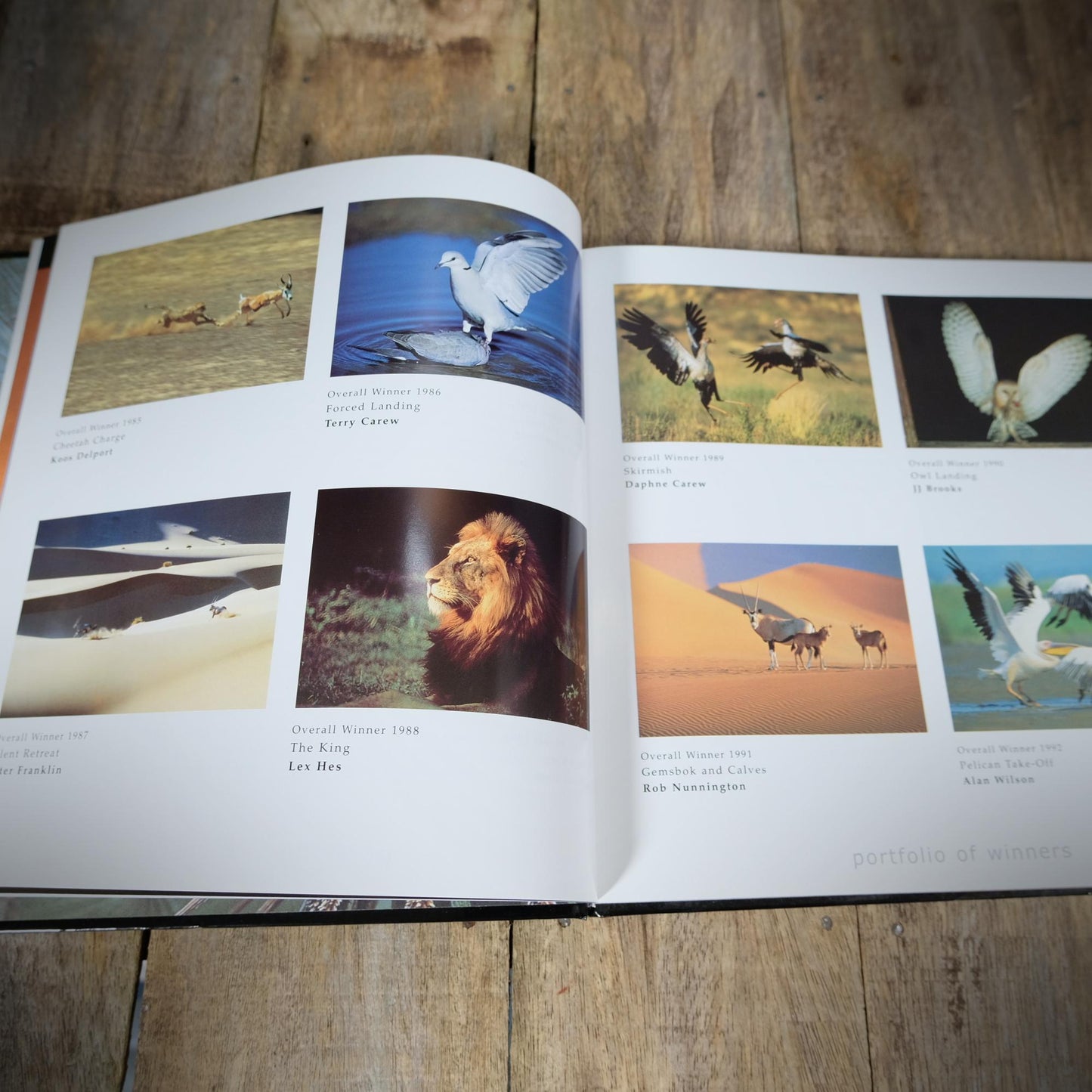 Classic African Wildlife Photography, Agfa Awards, 2002 Hardcover