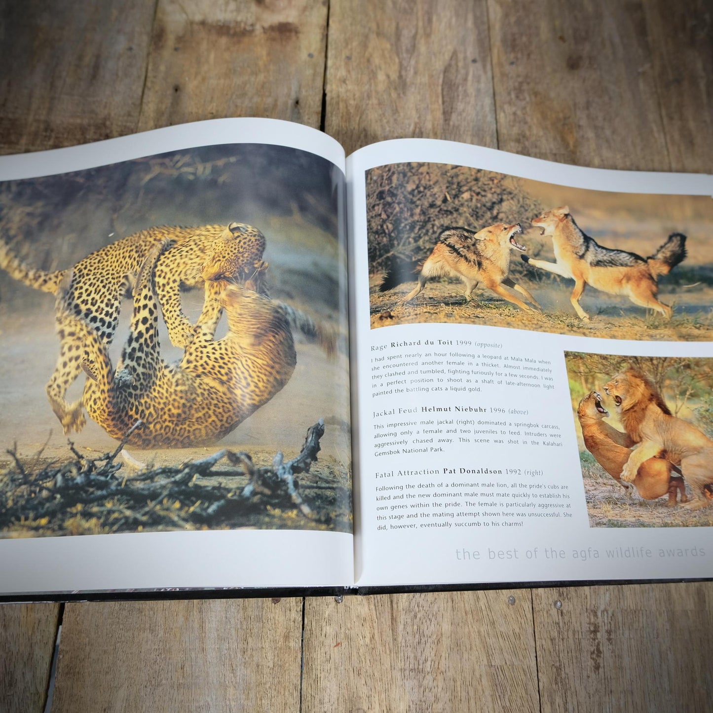 Classic African Wildlife Photography, Agfa Awards, 2002 Hardcover