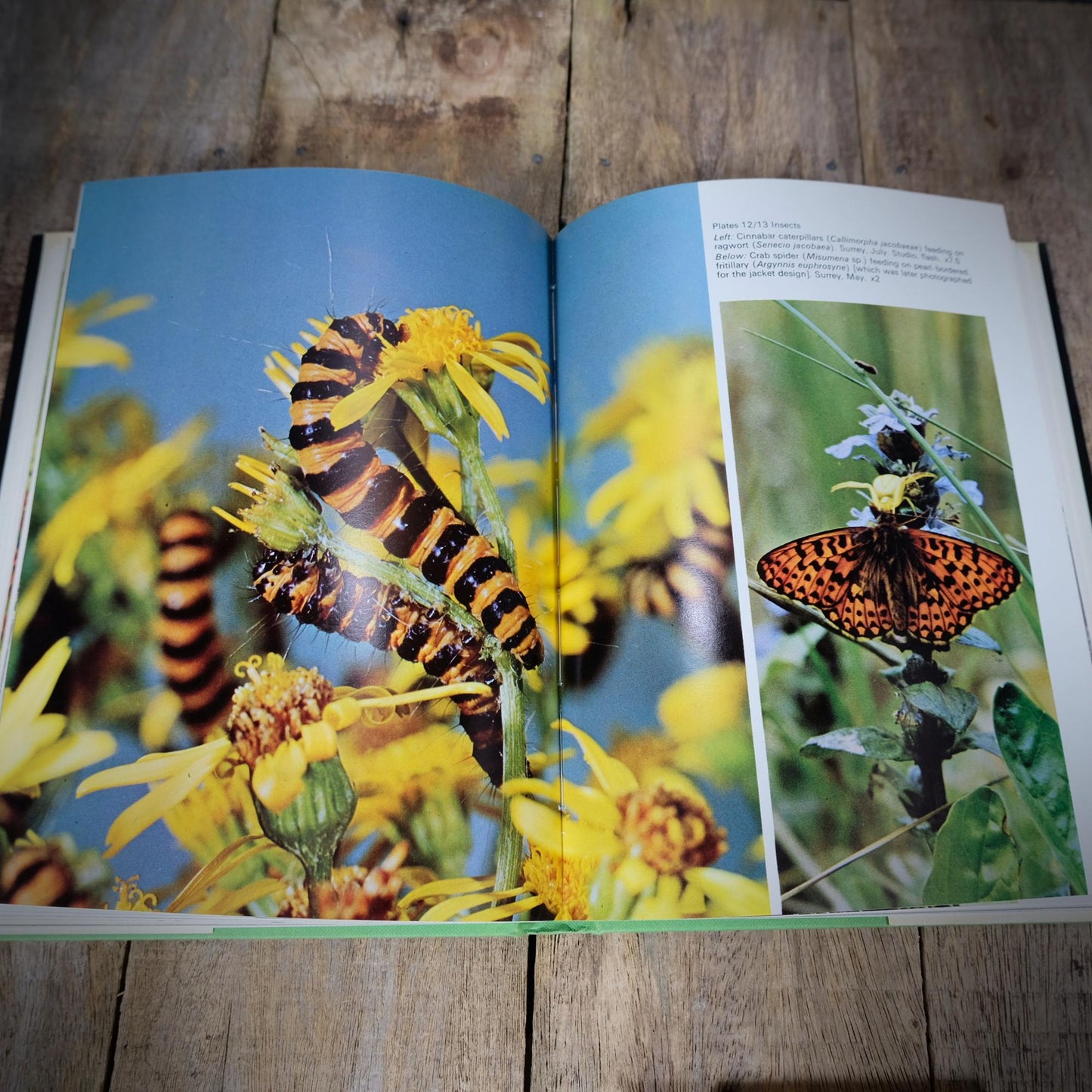 Nature Photography, Heather Angel, 1972 Hardcover