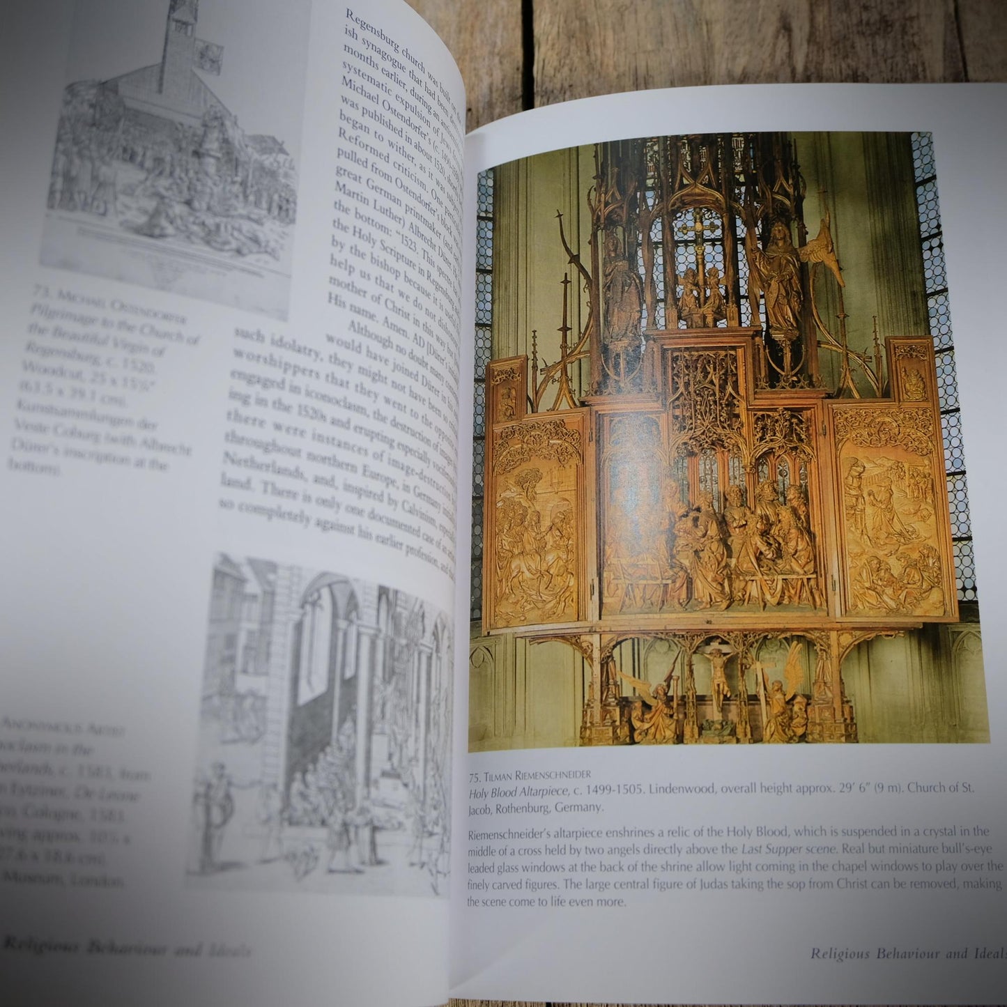 The Art of the Northern Renaissance, Craig Harbsion, 2012 Softcover