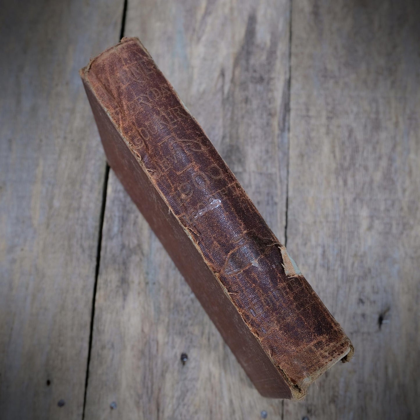 Warne's Everyday Cookery Book, Mary Jewry, Victorian Recipes, Undated Hardcover