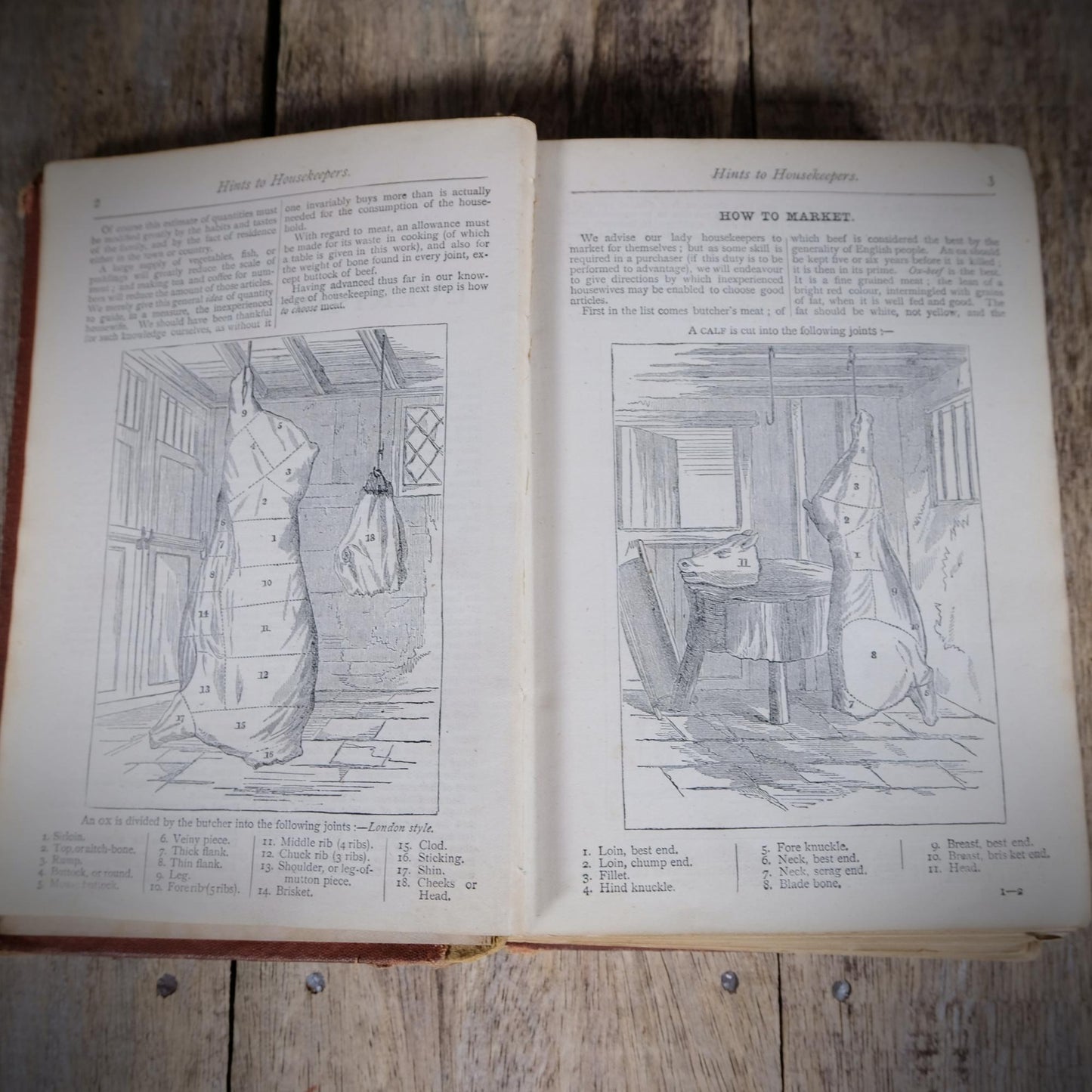 Warne's Everyday Cookery Book, Mary Jewry, Victorian Recipes, Undated Hardcover