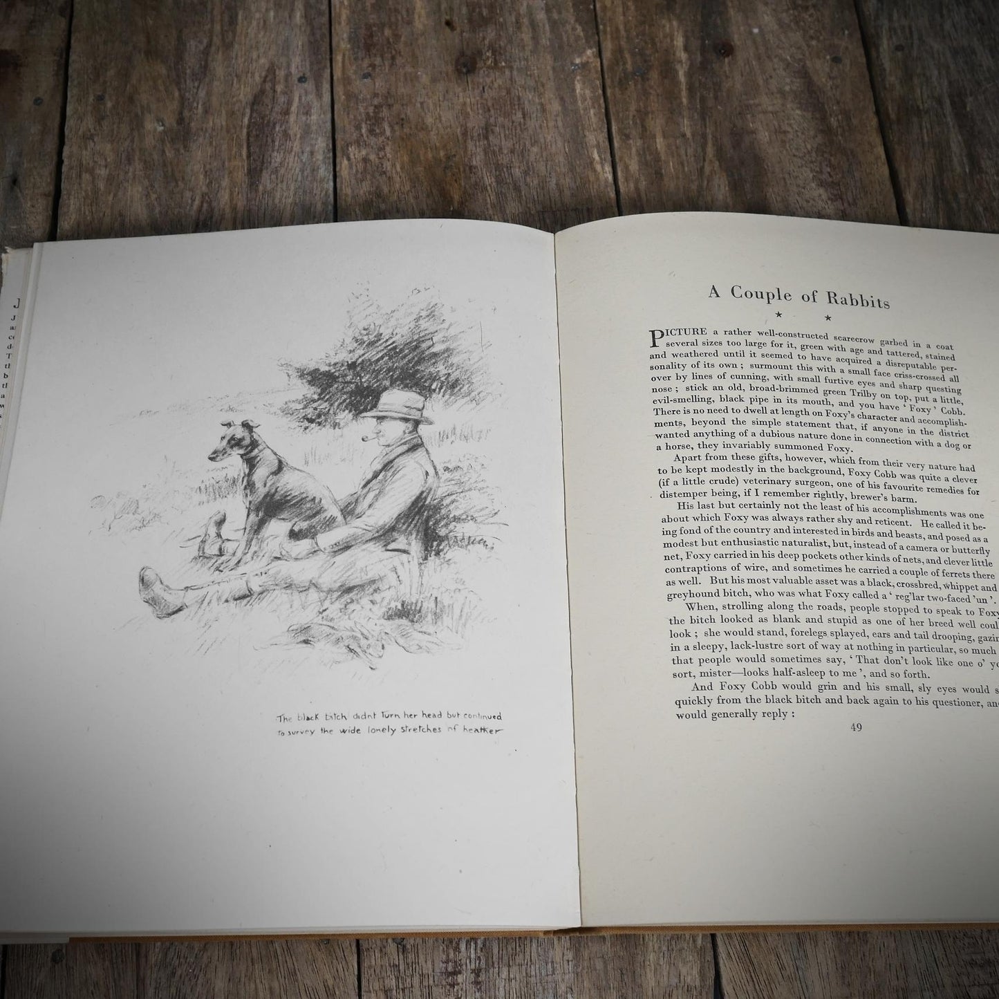 Just Dogs, K F Barker, 1942 Country Life Hardback, Dog Lover Art