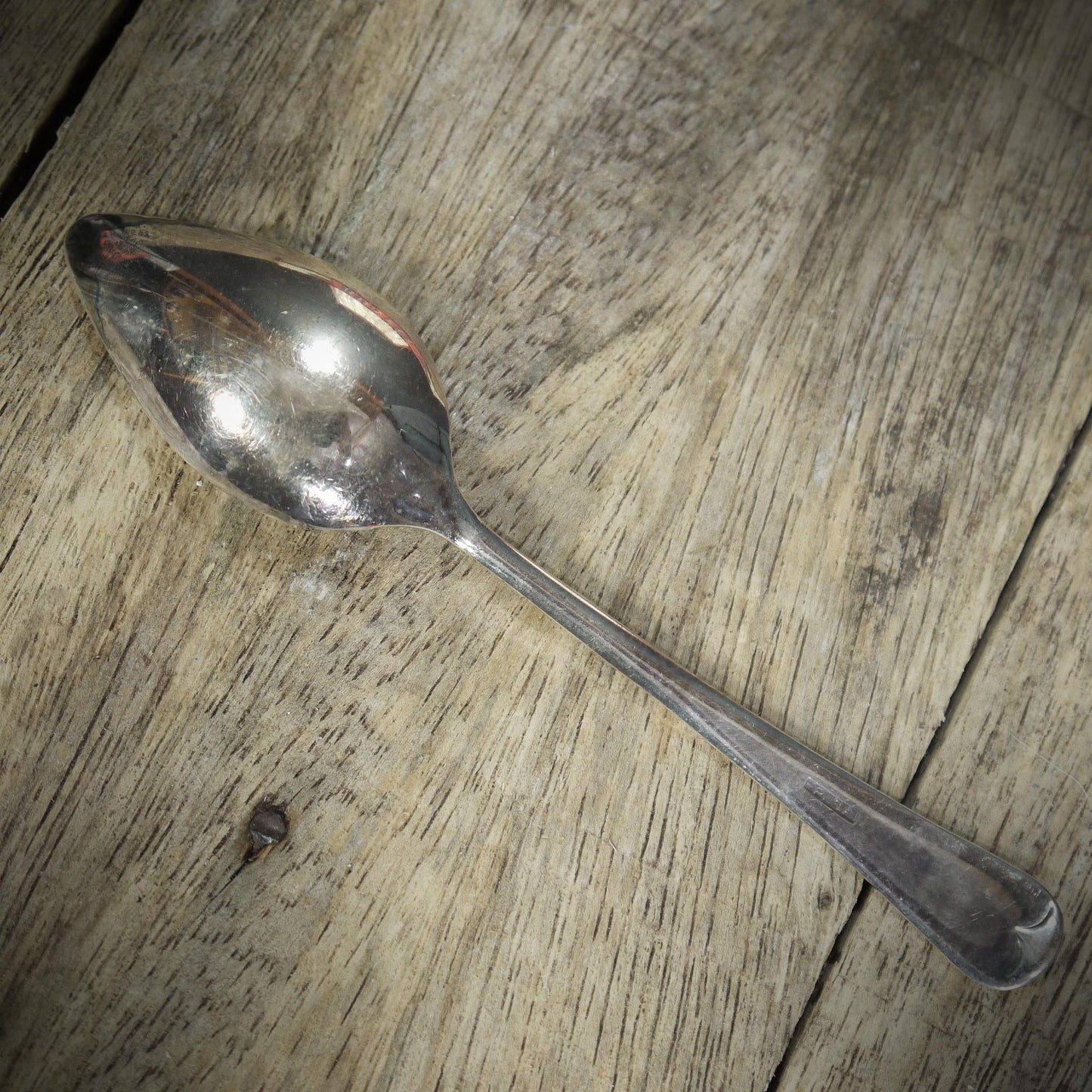 Vintage EPNS Grapefruit Spoons in Original Case