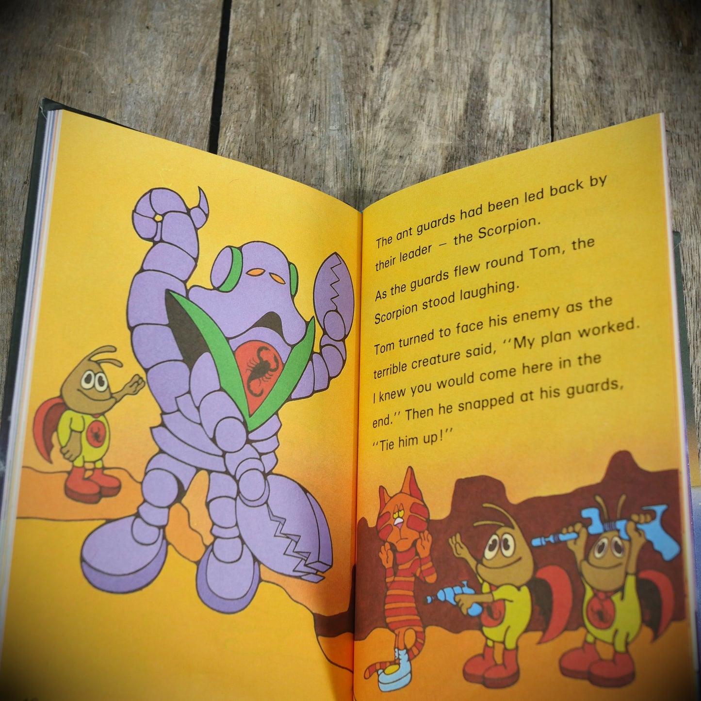 Ladybird, The Missing Ambassdor, Hardcover