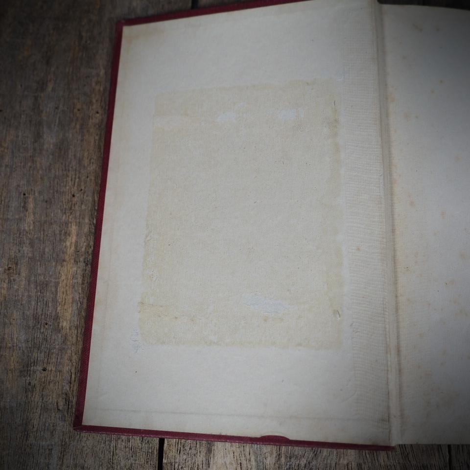 The Stolen Children, Henry Bleby, Undated Antiquarian Hardcover