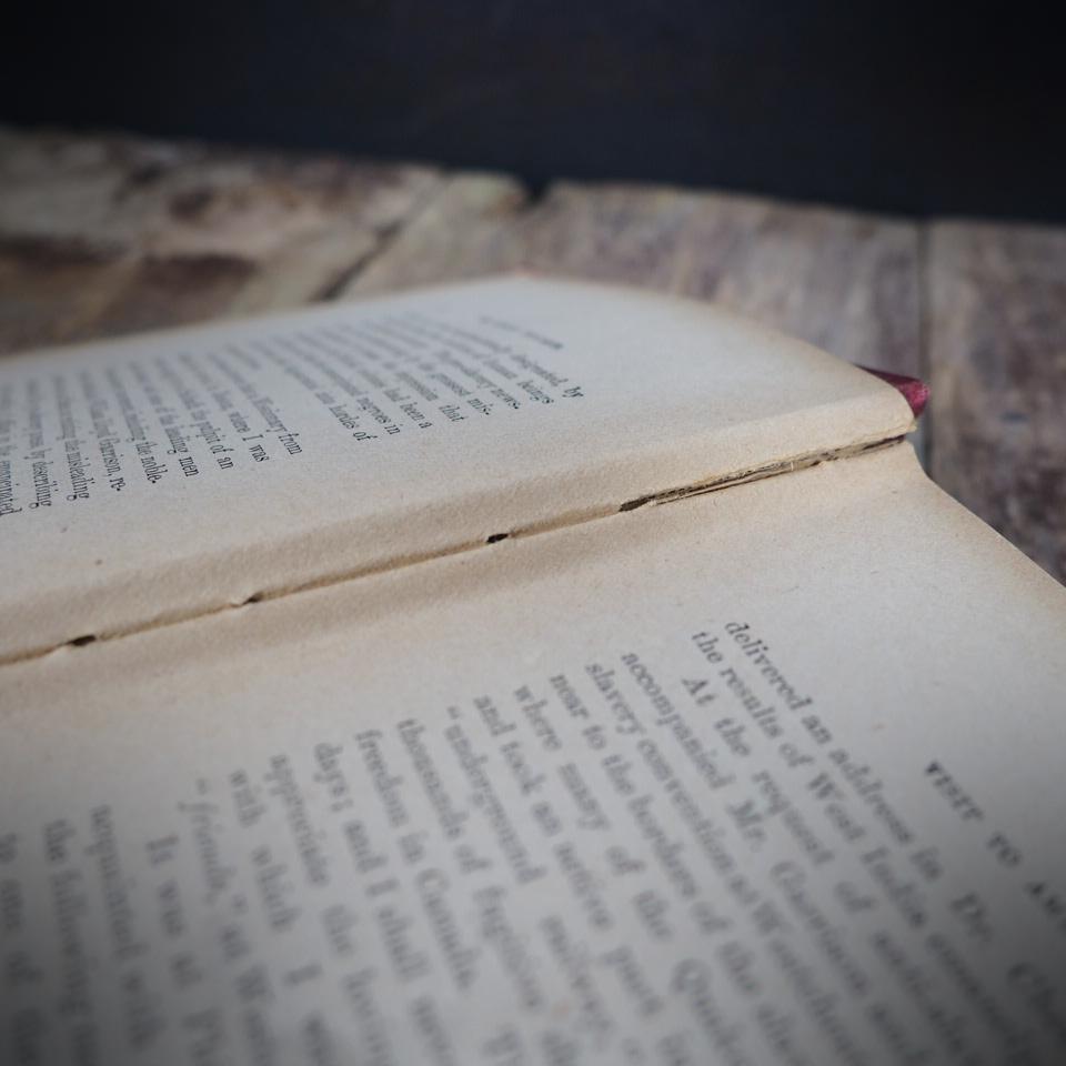 The Stolen Children, Henry Bleby, Undated Antiquarian Hardcover