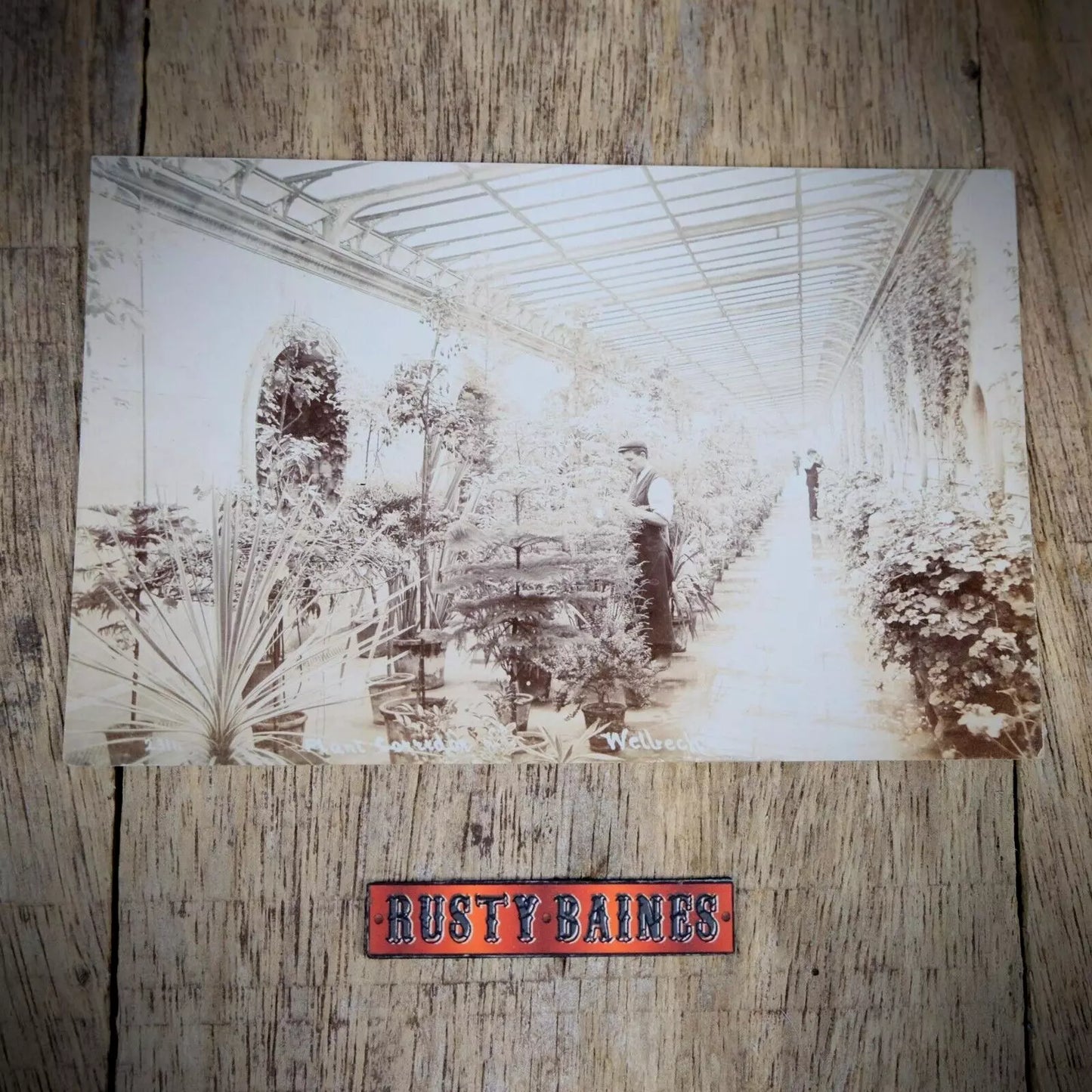 Postcard, Welbeck Abbey Plant Corridor, Conservatory, Nottinghamshire