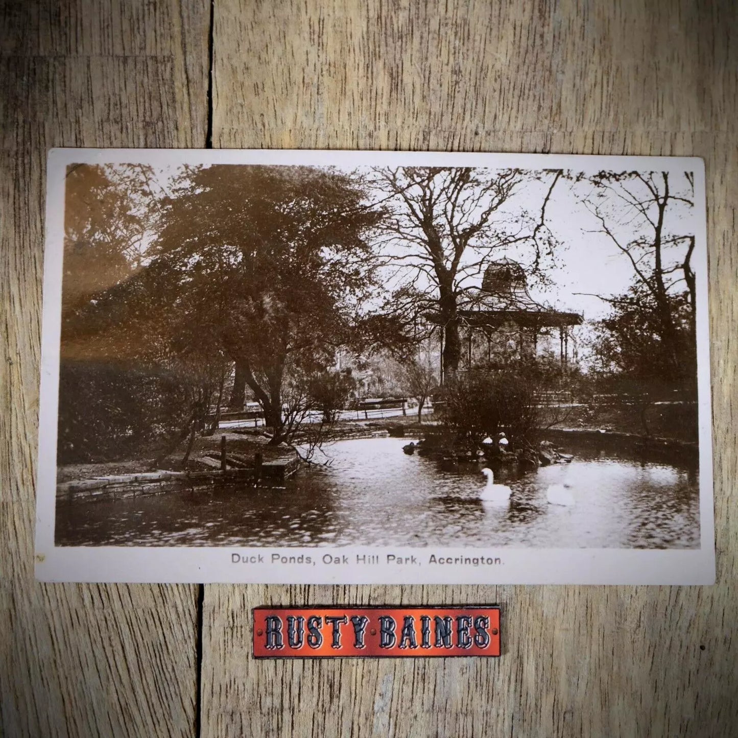 Postcard, Accrington Oak Hill Park Duck Pond