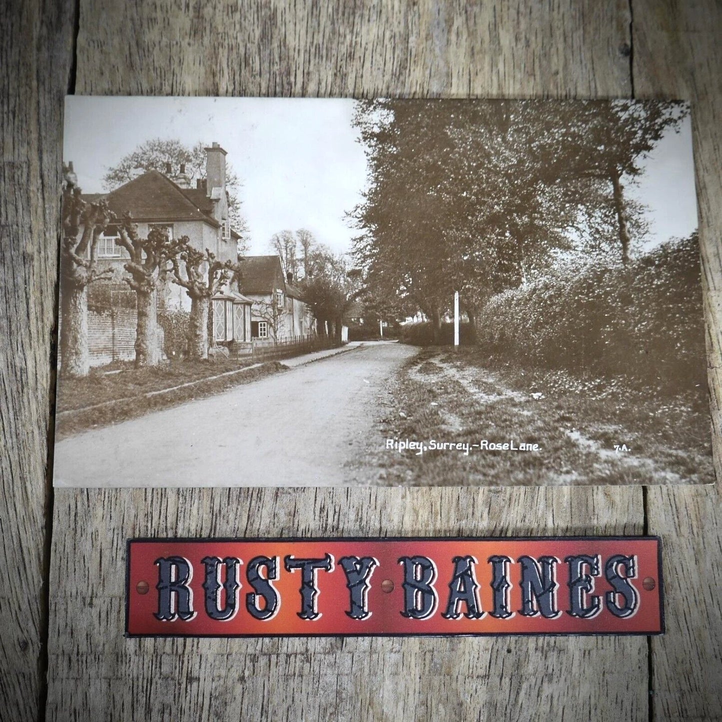 Postcard, Ripley in Surrey, Rose Lane, 1909 Real Photo