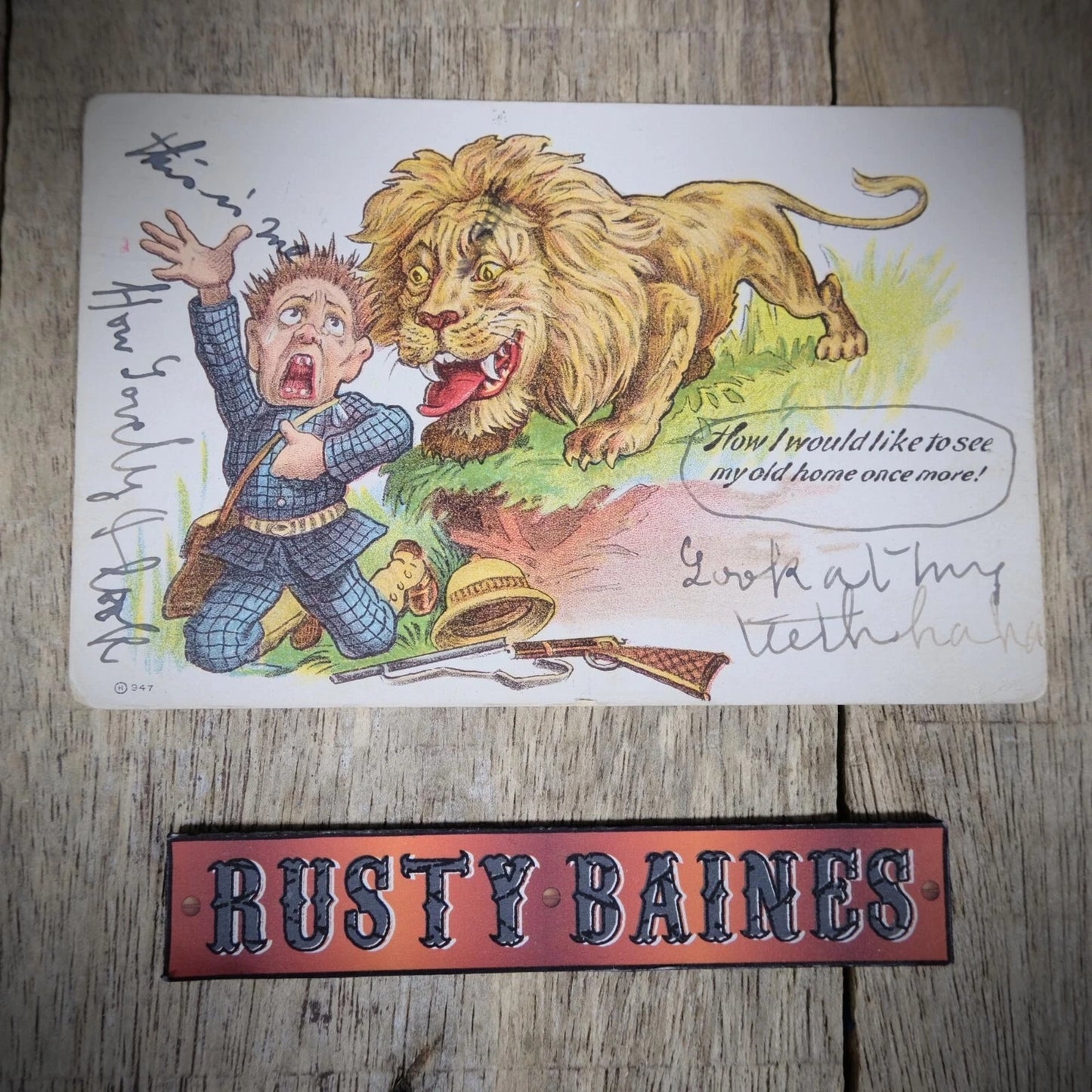 Postcard, Comic, Big Game Hunter Homesick, Lion Revenge