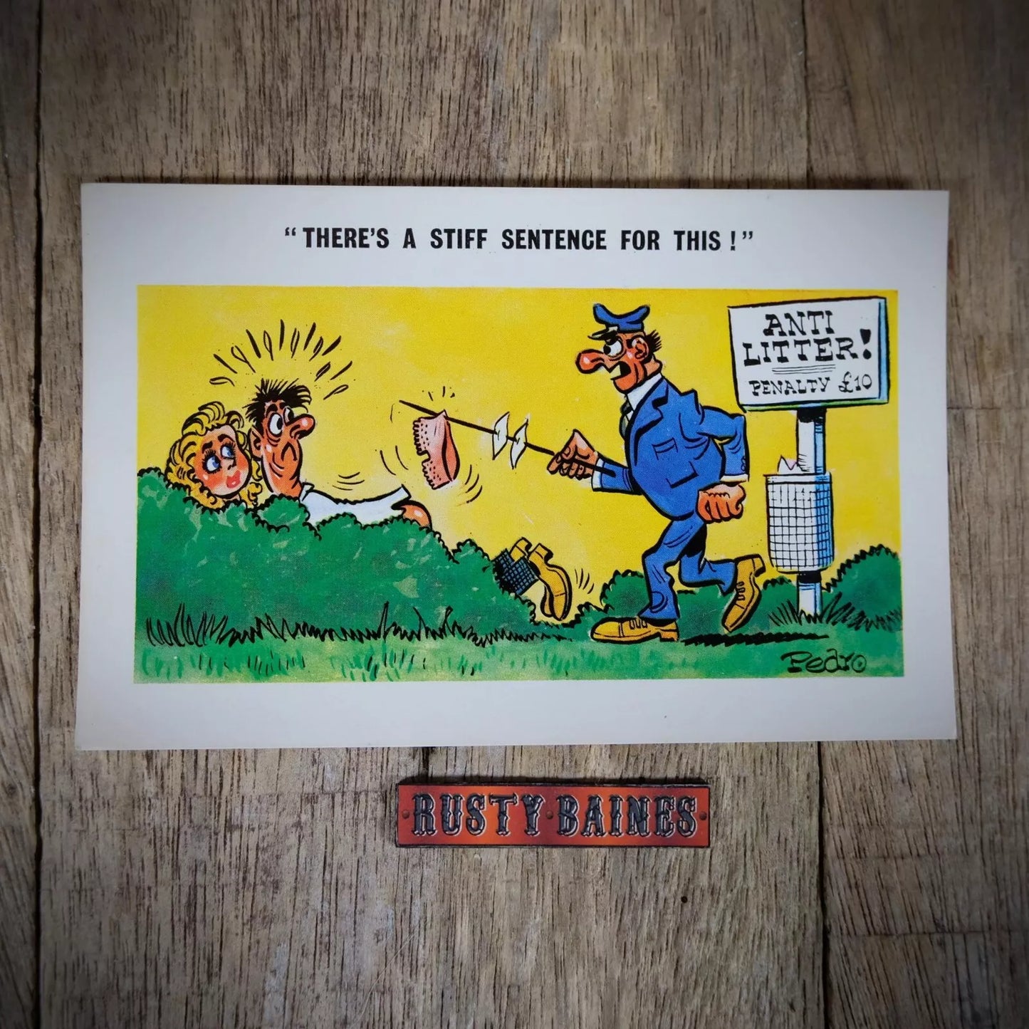 Vintage Postcard, Comic, Couple in Bushes, Litter Picking Man, Fine
