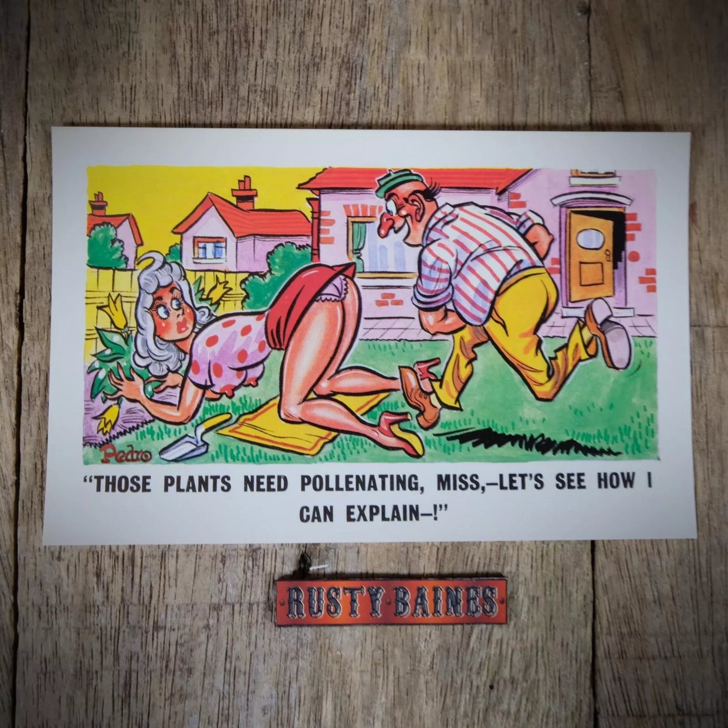 Vintage Postcard, Comic, Lady Gardener Bending Flashing Knickers