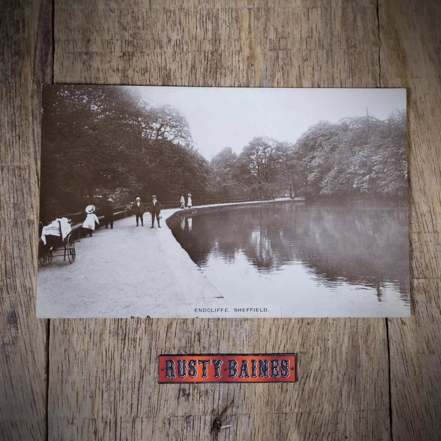 Antique Postcard, Sheffield, Endcliffe Park, Kids Posing, Real Photo