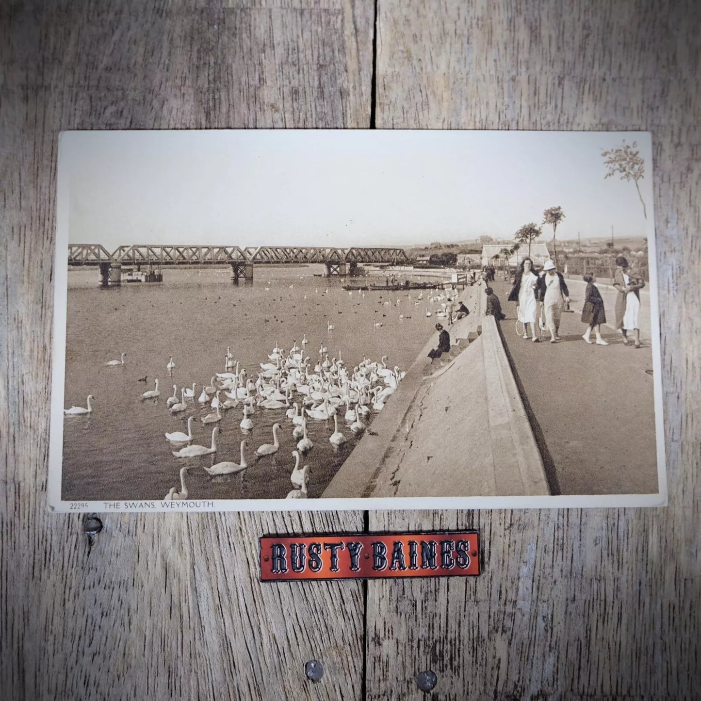 Postcard, Weymouth Swans, Circa 1920s, Printed