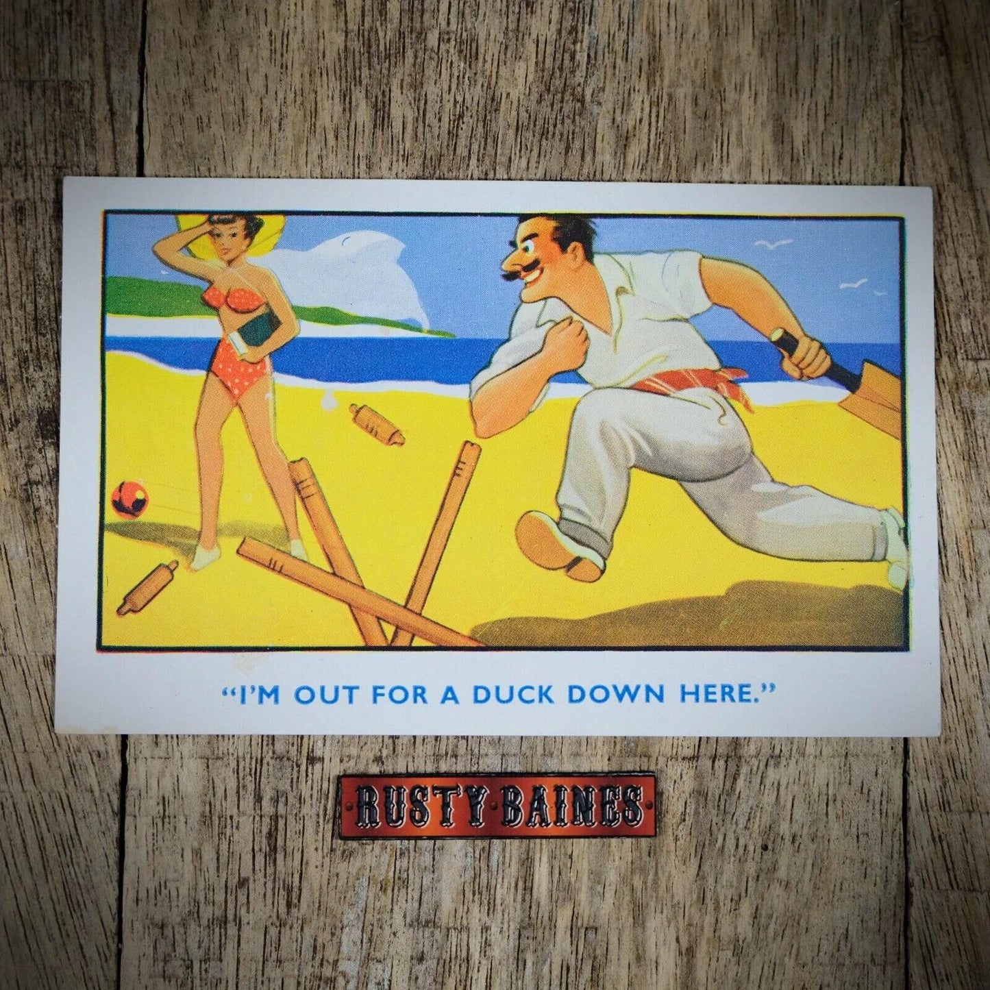 Postcard, William Foster Comic, Beach Cricket Swimsuit Beauty