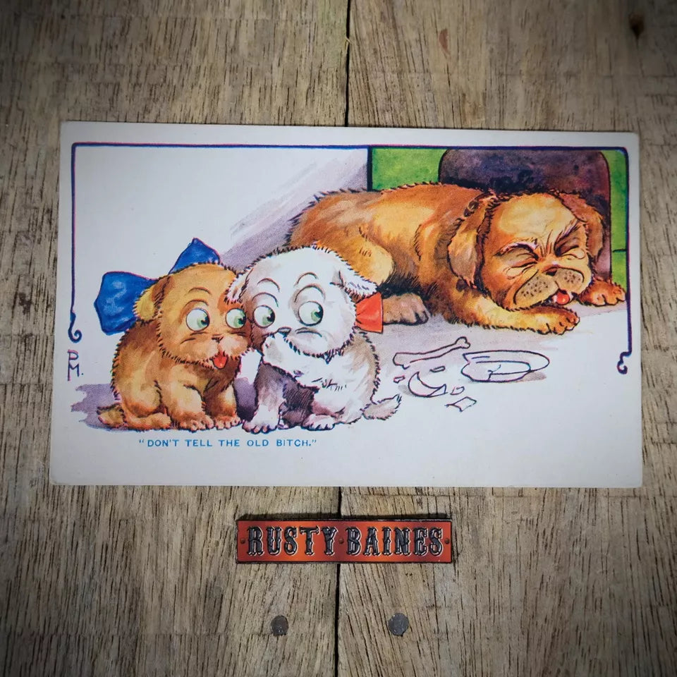 Postcard, Comic, Naughty Puppy Dogs, Broken Bowl