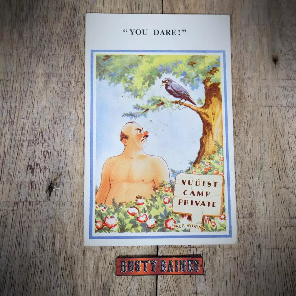 Postcard, Comic, Bob Wilkin, Naughty Bird, Nudist Camp