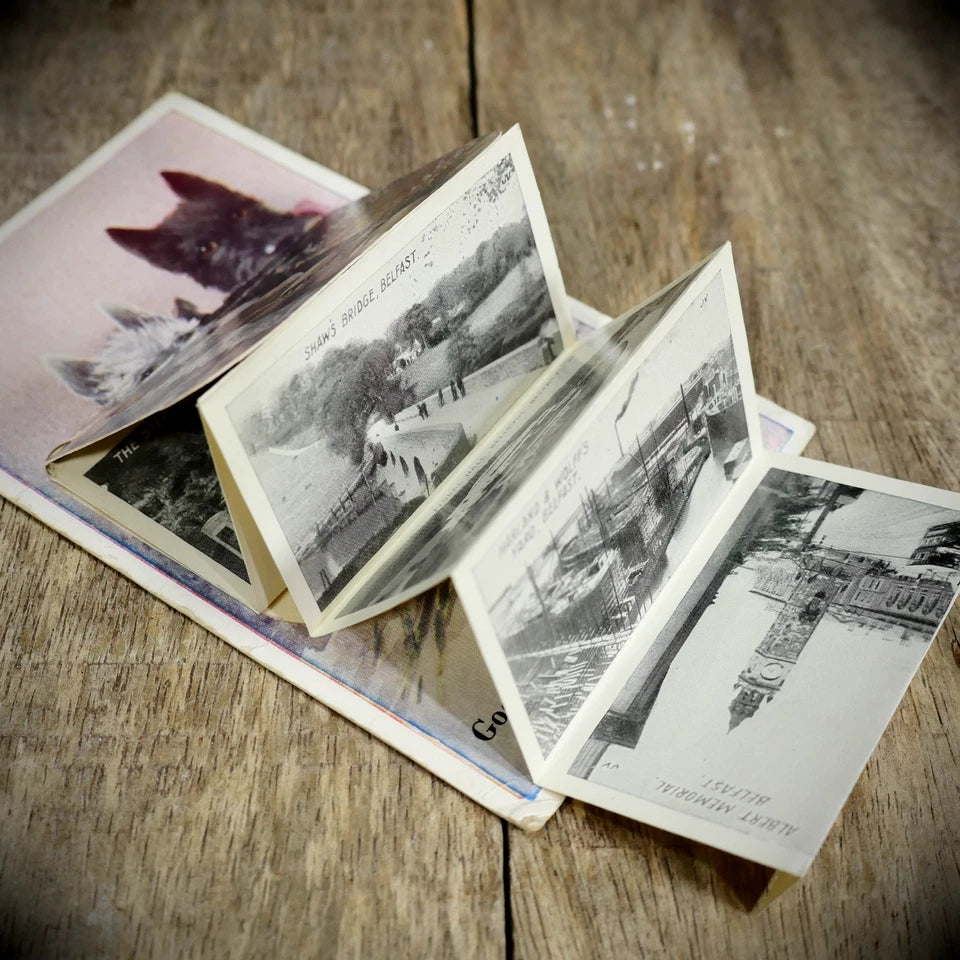 Postcard, Novelty Pull-Out, Belfast Dogs, Good Luck, Printed