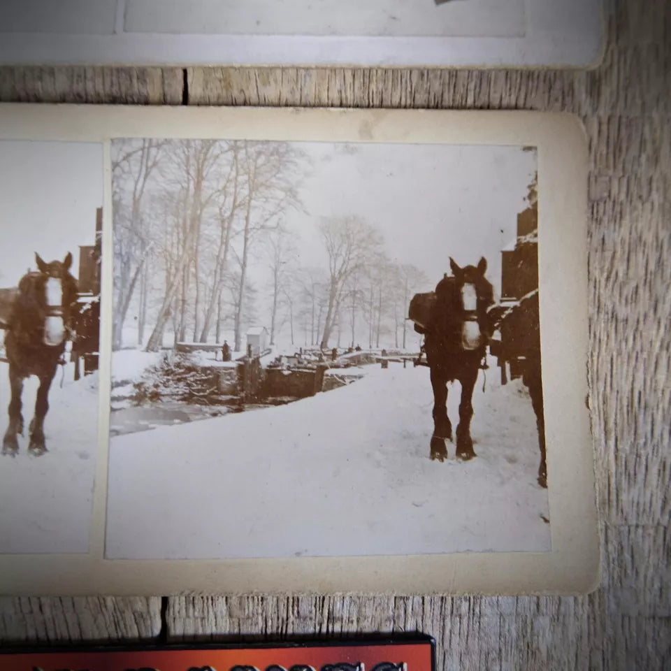 Stereoview Card, British Winter Snow Scenes, Working Horse, People, Children