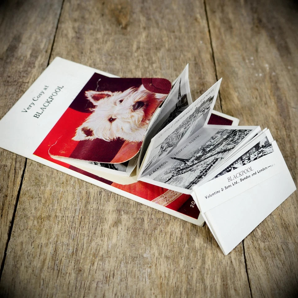Postcard, Novelty Pull-Out, Blackpool Terrier Dog, Printed
