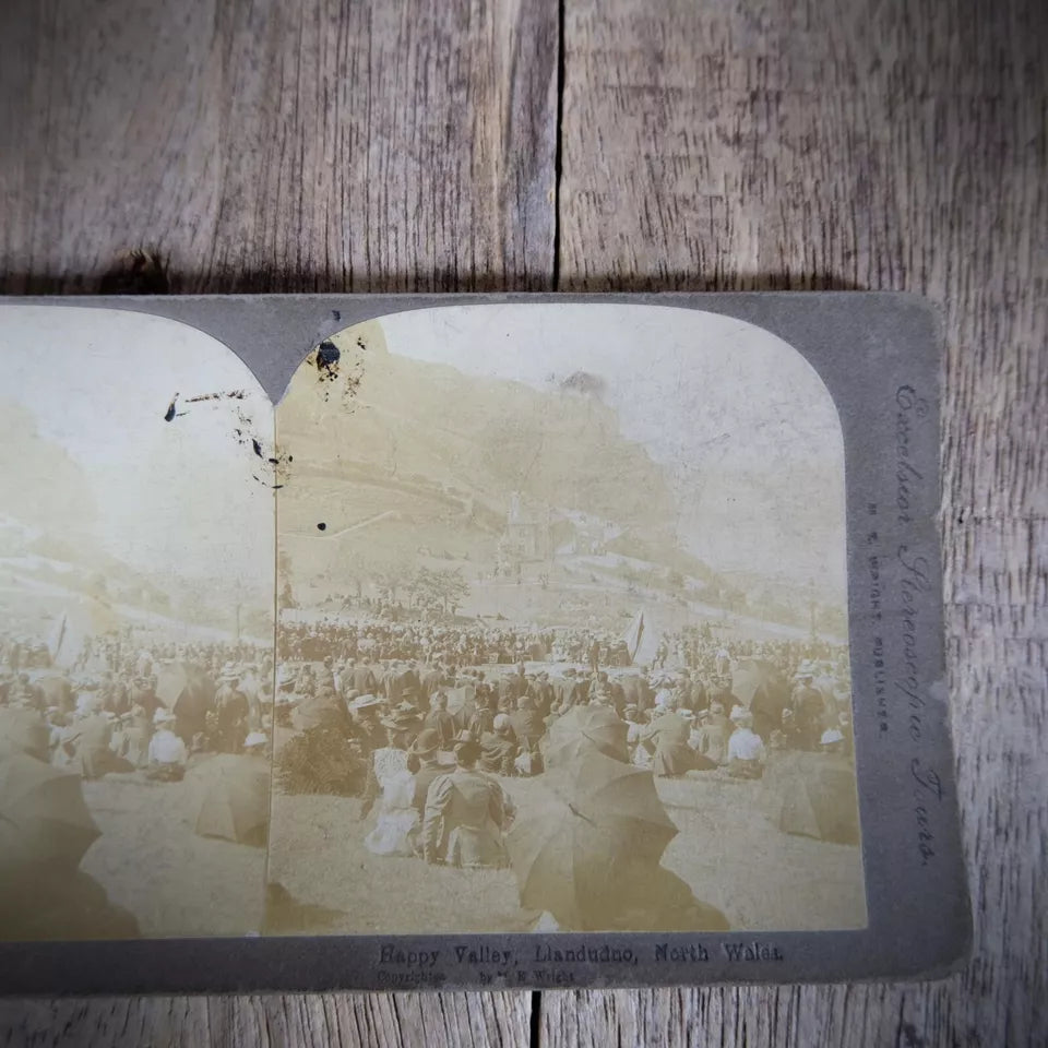 Stereoview Card Wales, Happy Valley Llandudno