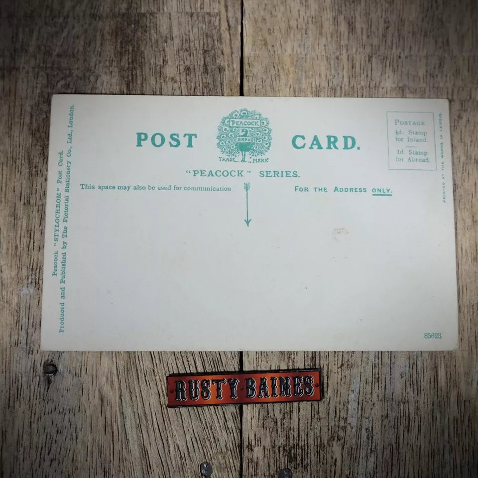 Postcard, South Cave Castle nr Hull, Peacock Brand