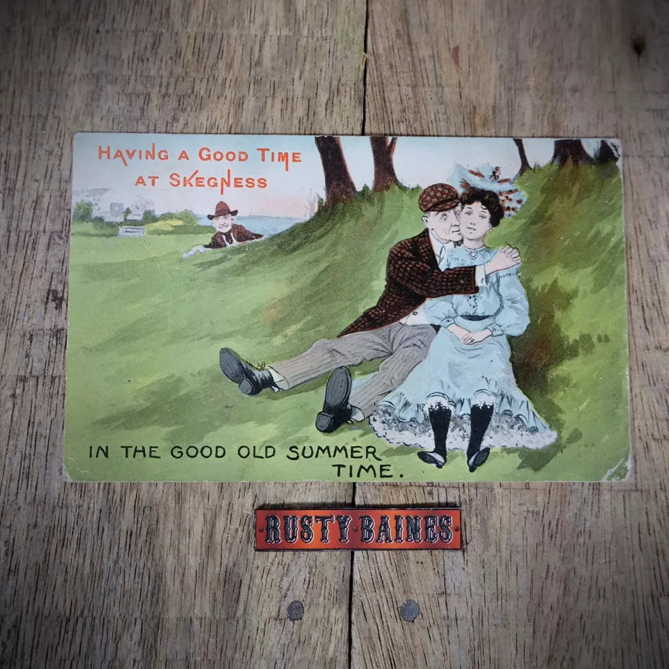 Postcard, Comic, Skegness Romance Courting Outdoors, Voyeur