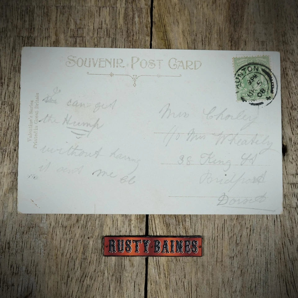 Postcard, Seaside Comic, Donkey Rides, Council Notice