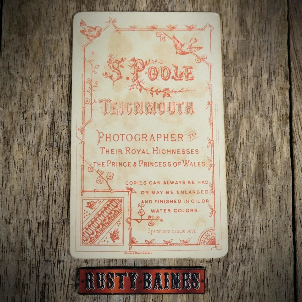 Carte de Visite (CDV) Portrait of Victorian Lady, Dress, Fashion, S Poole, Teignmouth