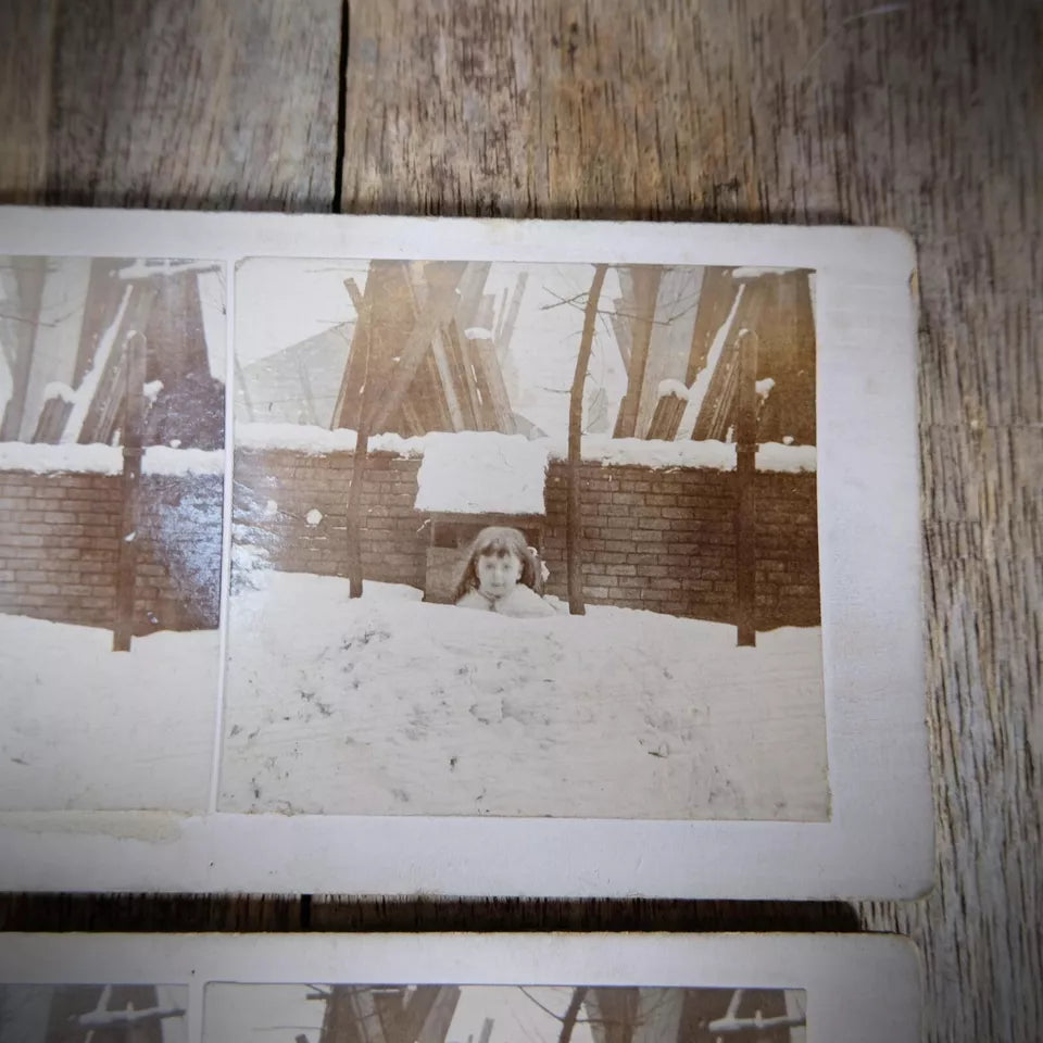 Stereoview Card, British Winter Snow Scenes, Working Horse, People, Children