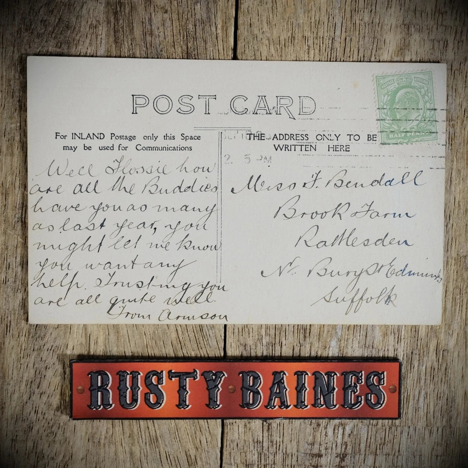 Postcard, Edwardian Putney Rowing Race, Putney, Real Photo...Grade VG