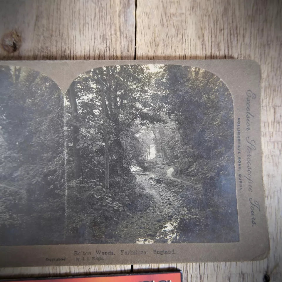 Stereoview Card Bolton Woods, Yorkshire, Landscape