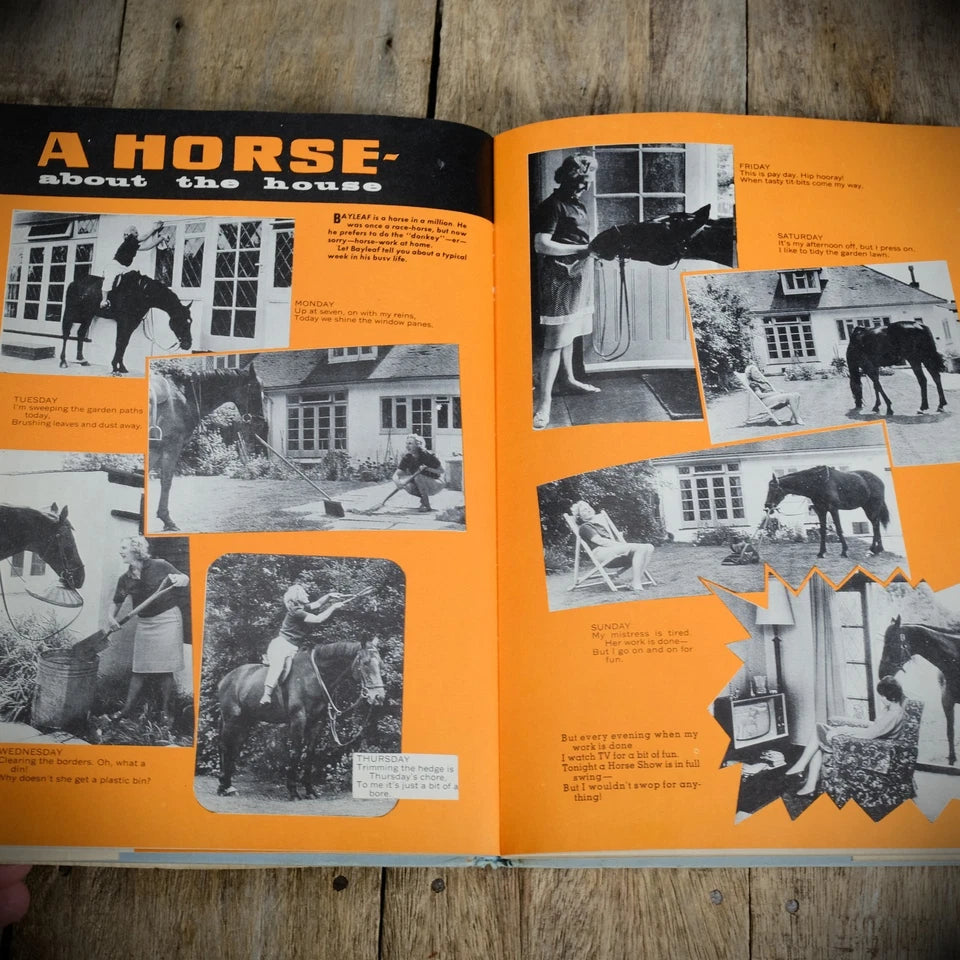 Diana for Girls Annual 1966, Hardcover, Fashion, Jane Model Miss, Ponies, Ballet