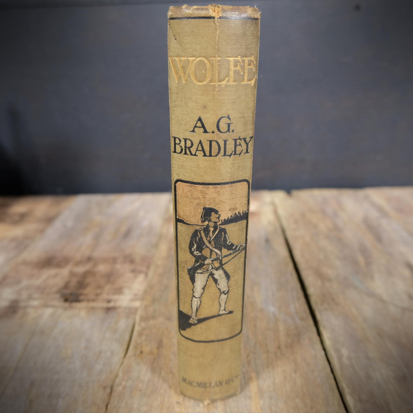 Wolfe, A G Bradley, Decorative 1903 Hardcover