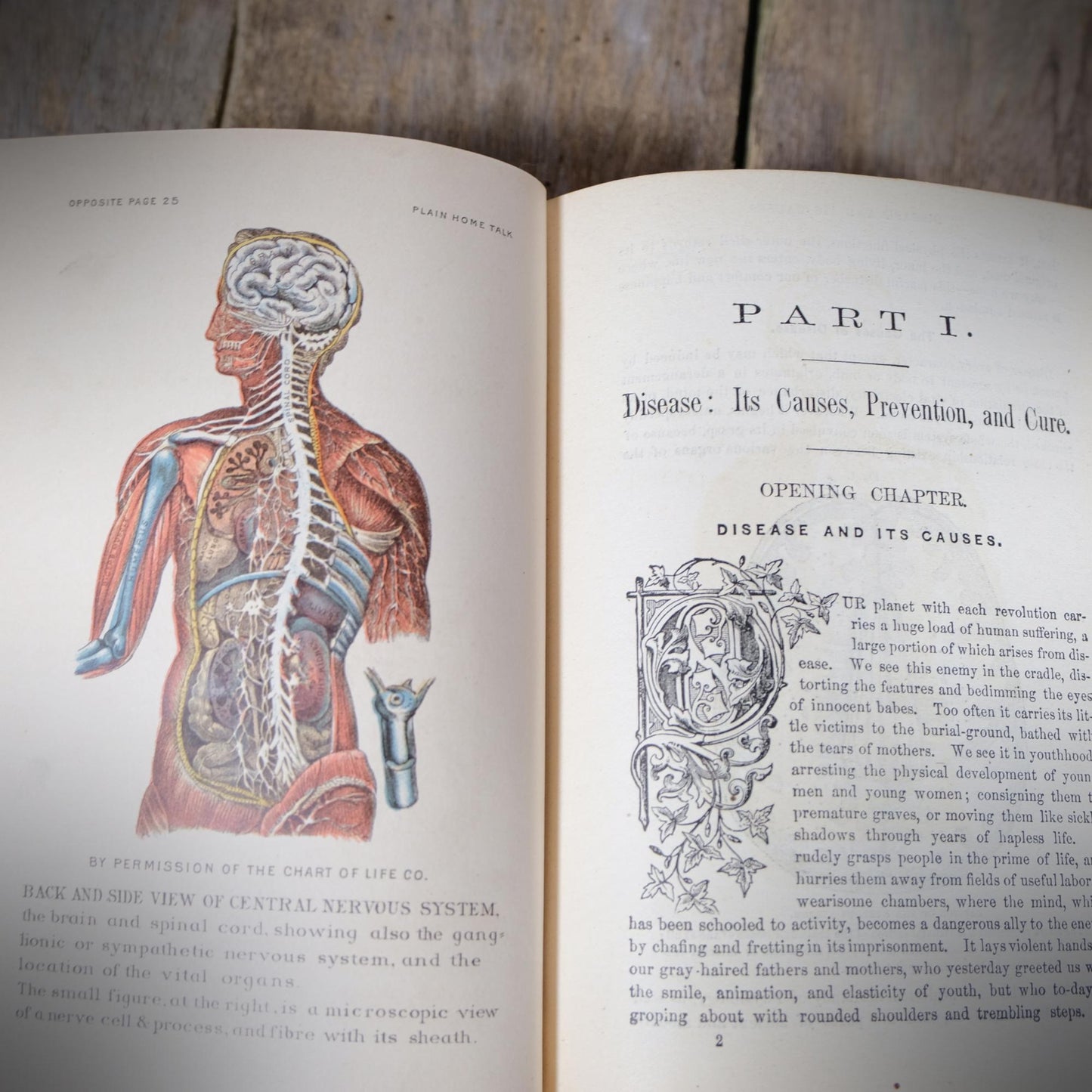 Plain Home Talk, Medical Common Sense, Sexual Relations, Disease, Social Natures, 1885 Hardcover