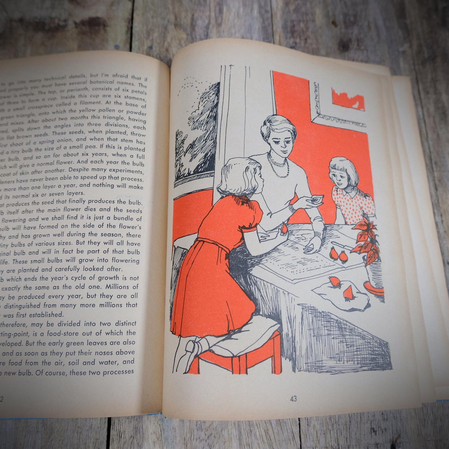 Our Girls Short Story and Picture Book, Undated Vintage Hardcover