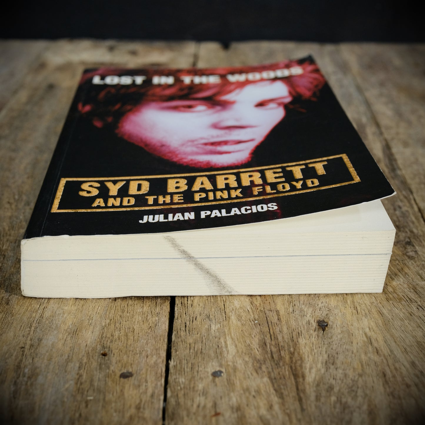 Lost in the Woods, Syd Barrett and The Pink Floyd, Julian Palacios, 1998 Softcover