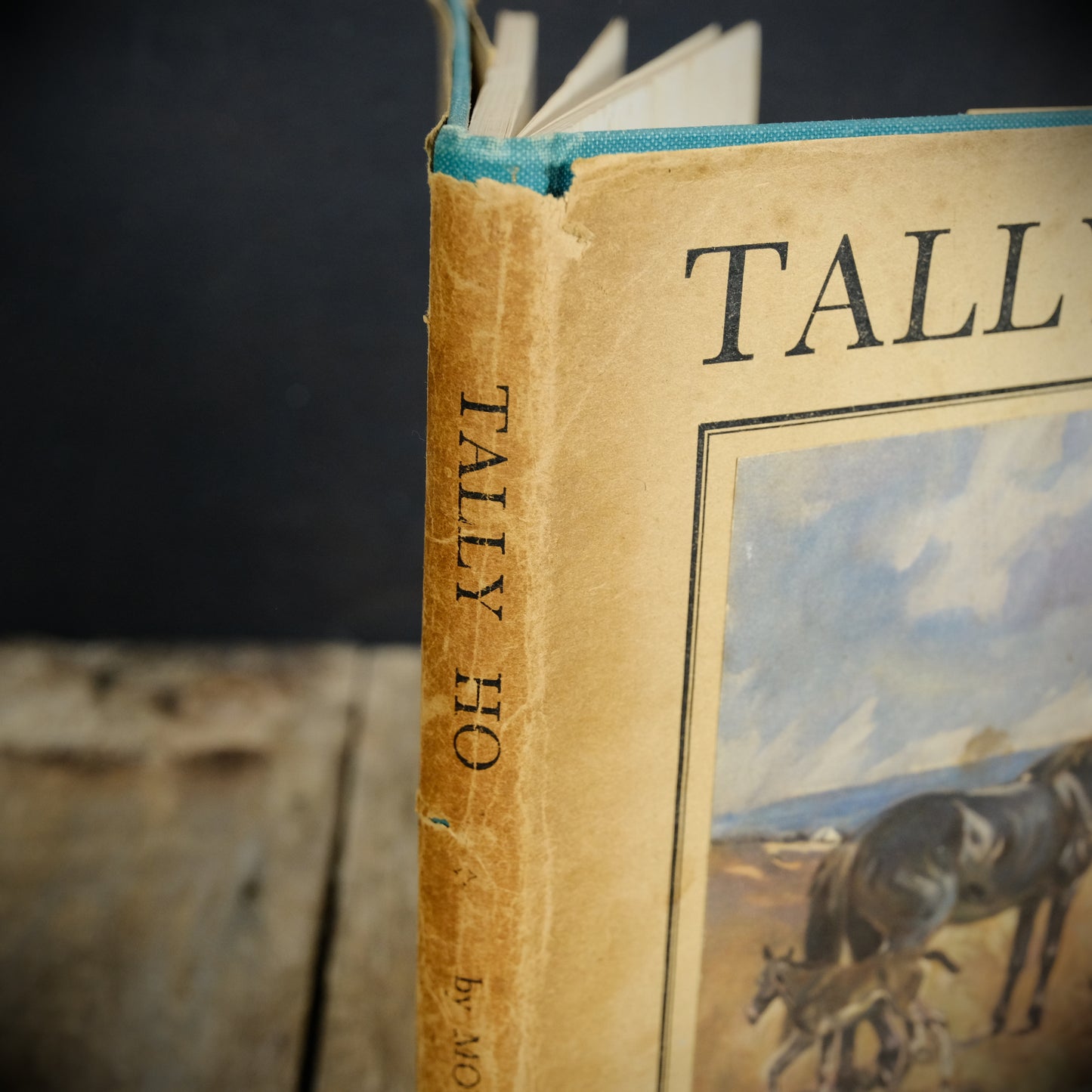 Tally Ho: The Story of an Irish Hunter, Moyra Charlton, Lionel Edwards, 1948 Hardcover, For the Horse/Pony Lover