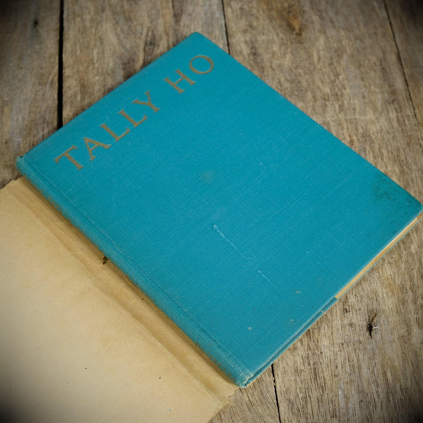 Tally Ho: The Story of an Irish Hunter, Moyra Charlton, Lionel Edwards, 1948 Hardcover, For the Horse/Pony Lover