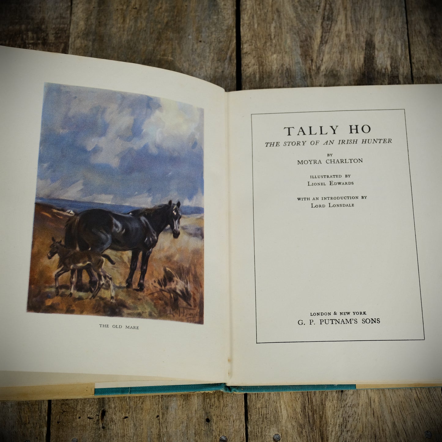 Tally Ho: The Story of an Irish Hunter, Moyra Charlton, Lionel Edwards, 1948 Hardcover, For the Horse/Pony Lover