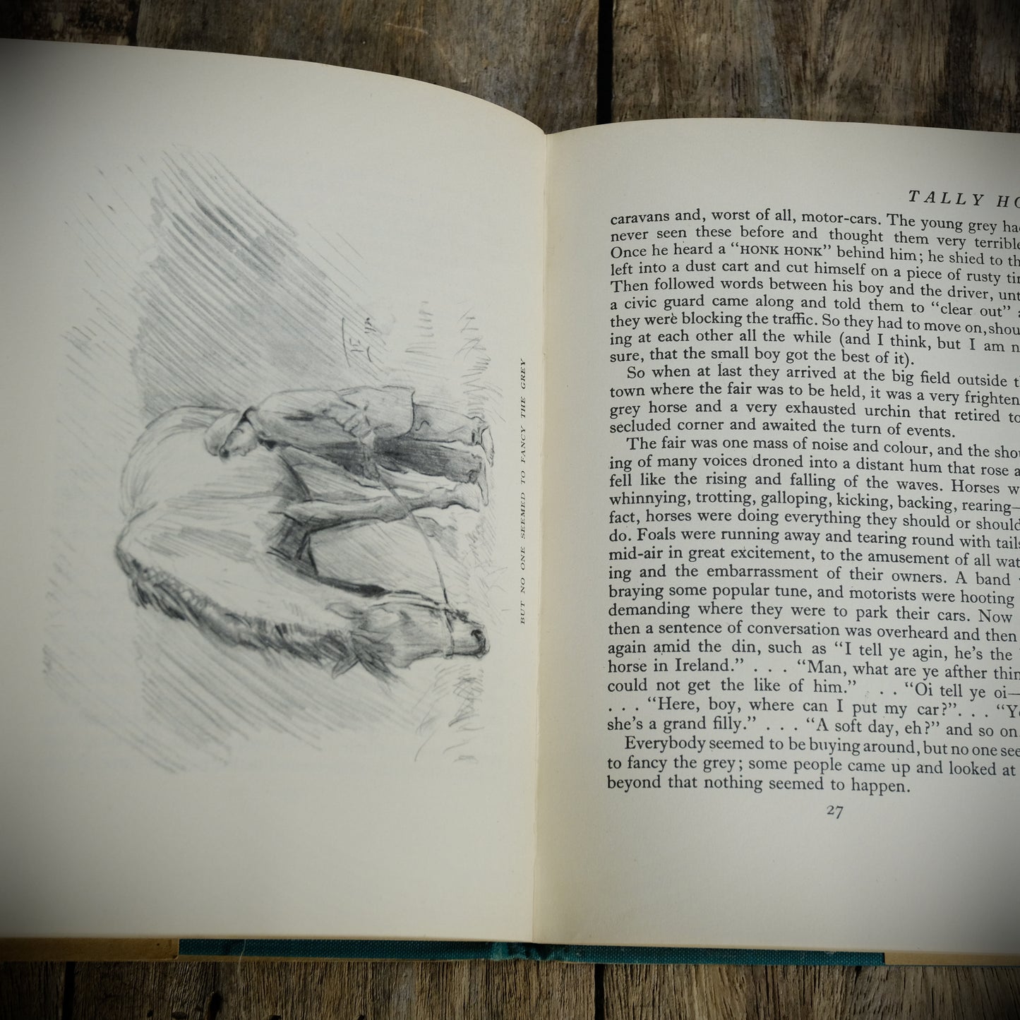 Tally Ho: The Story of an Irish Hunter, Moyra Charlton, Lionel Edwards, 1948 Hardcover, For the Horse/Pony Lover